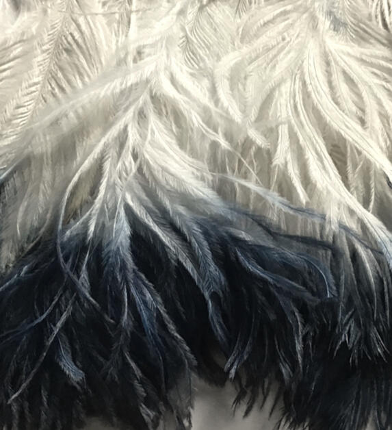 two tone ostrich feathers tips trim two tone ostrich feathers tips trim