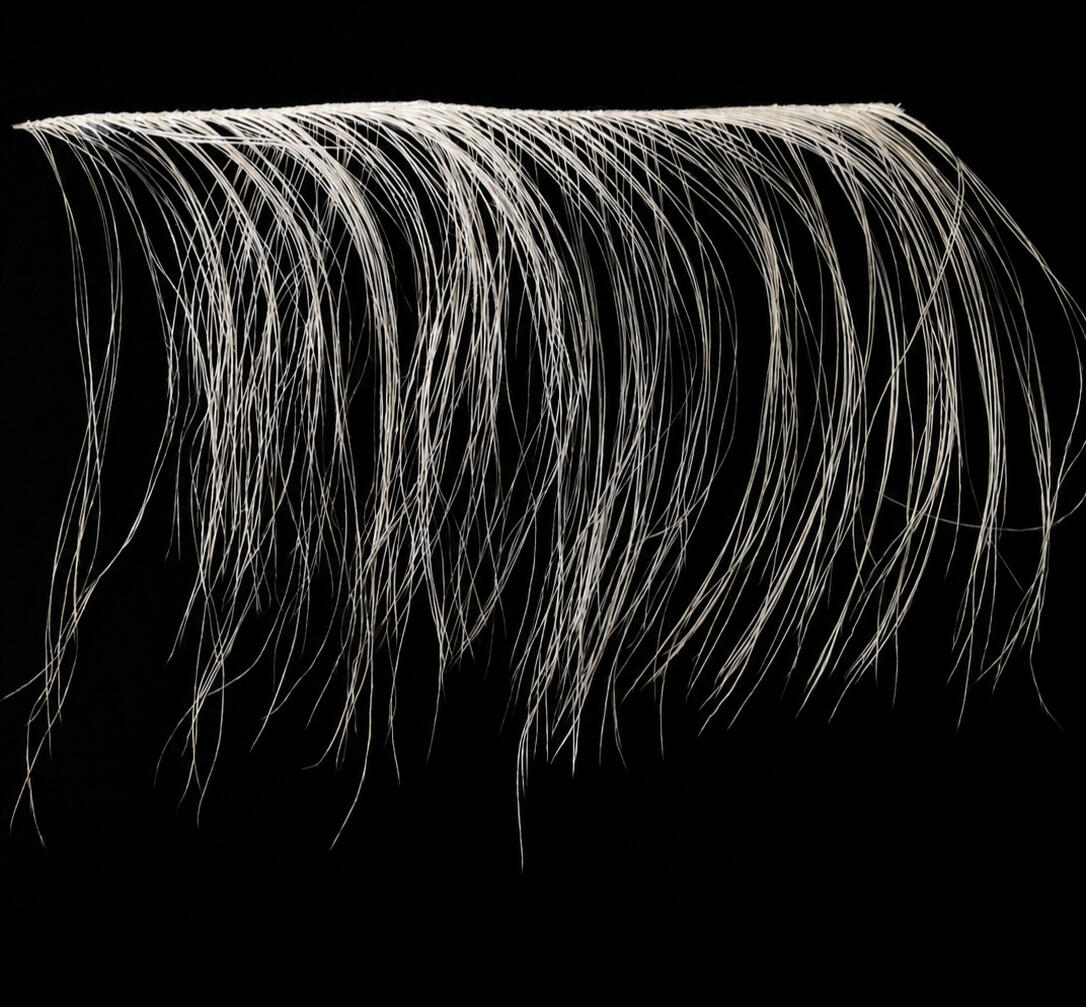 ostrich feathers trimming waxed ostrich feathers trimming waxed