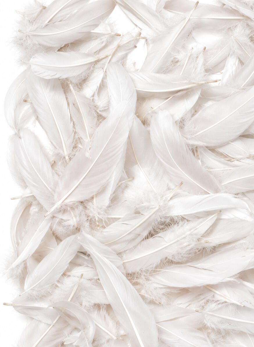 ostrich feathers trim wet effect ostrich feathers trim wet effect