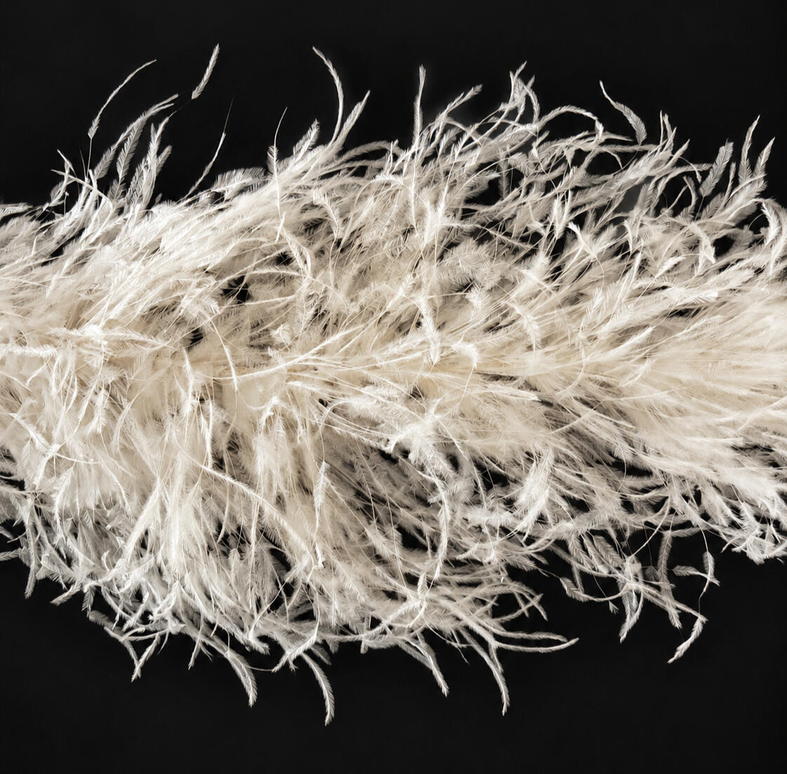 burnt ostrich feathers boa burnt ostrich feathers boa